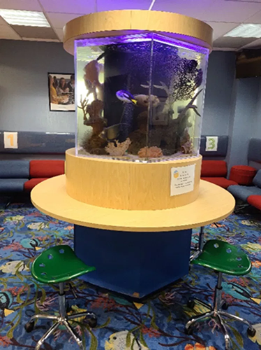 Magic Touch Orthodontist | Bad Bites, Orthodontics for Adults and Sleep Apnea